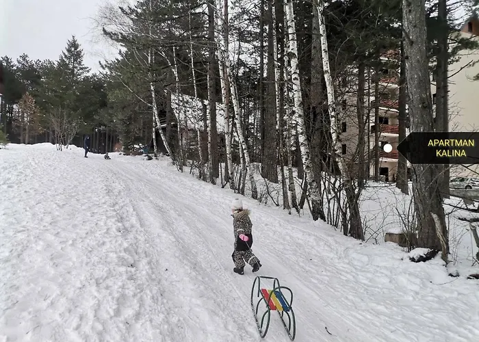 Kalina * 즐라티보